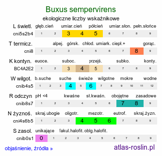 ekologiczne liczby wskaźnikowe Buxus sempervirens (bukszpan wieczniezielony)