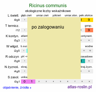 ekologiczne liczby wskaÅºnikowe Ricinus communis (rÄ…cznik zwyczajny)