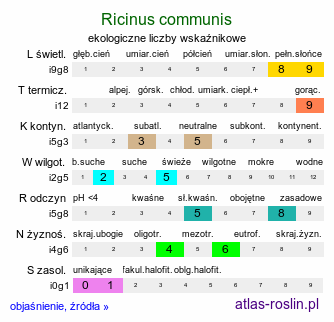 ekologiczne liczby wskaźnikowe Ricinus communis (rącznik zwyczajny)