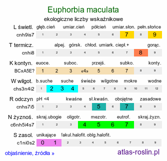 ekologiczne liczby wskaźnikowe Euphorbia maculata (wilczomlecz plamisty)