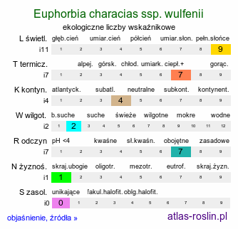 ekologiczne liczby wskaźnikowe Euphorbia characias ssp. wulfenii (wilczomlecz błękitnawy Wulfena)