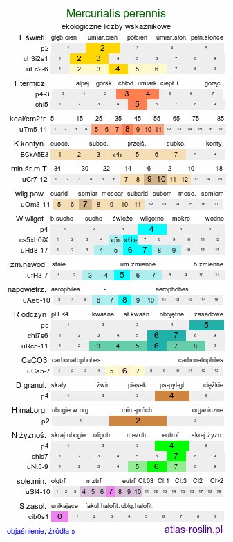 ekologiczne liczby wskaźnikowe Mercurialis perennis (szczyr trwały)