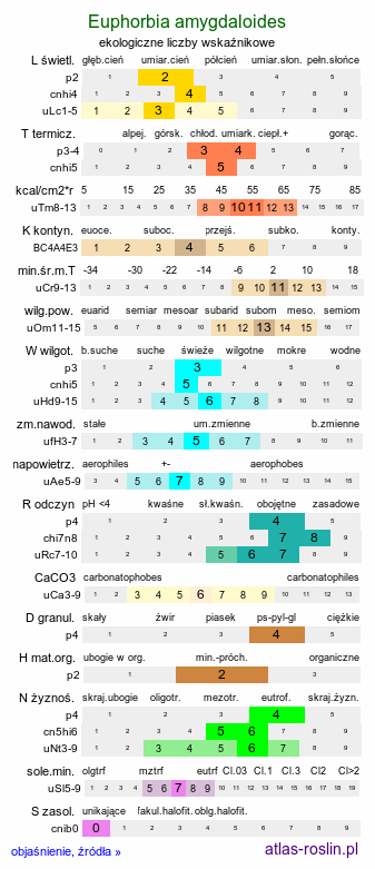ekologiczne liczby wskaźnikowe Euphorbia amygdaloides (wilczomlecz migdałolistny)