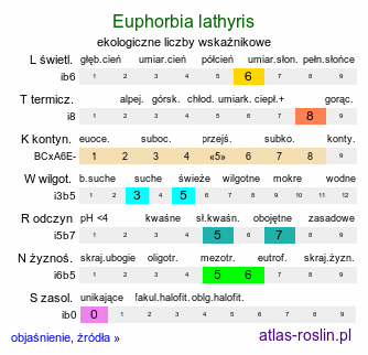 ekologiczne liczby wskaźnikowe Euphorbia lathyris (wilczomlecz groszkowy)