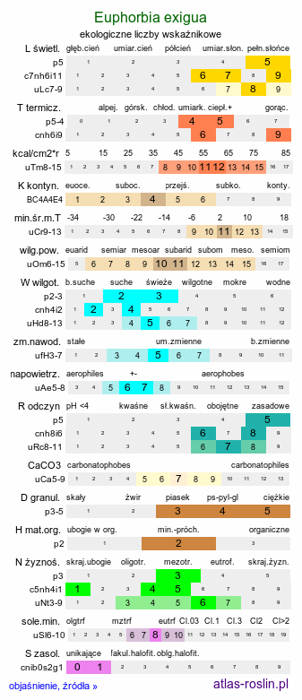 ekologiczne liczby wskaźnikowe Euphorbia exigua (wilczomlecz drobny)