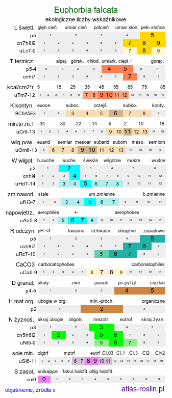 ekologiczne liczby wskaźnikowe Euphorbia falcata (wilczomlecz sierpowaty)