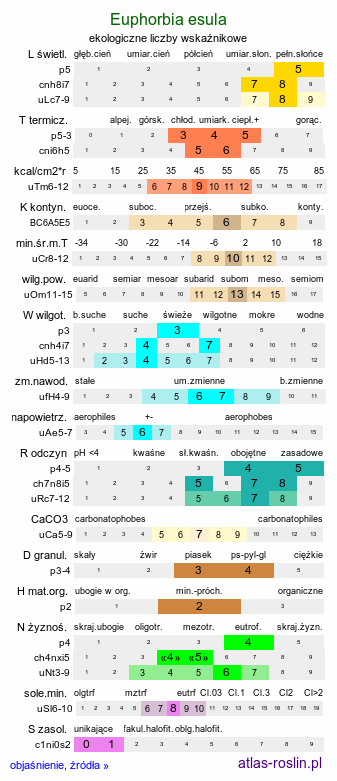 ekologiczne liczby wskaźnikowe Euphorbia esula (wilczomlecz lancetowaty)