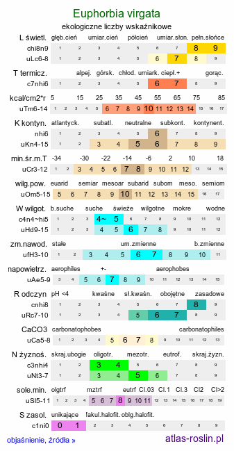ekologiczne liczby wskaźnikowe Euphorbia virgata (wilczomlecz rózgowaty)