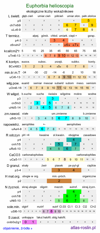 ekologiczne liczby wskaźnikowe Euphorbia helioscopia (wilczomlecz obrotny)