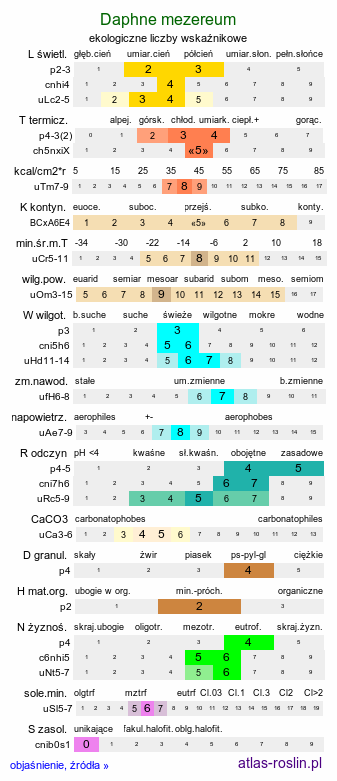 ekologiczne liczby wskaźnikowe Daphne mezereum (wawrzynek wilczełyko)