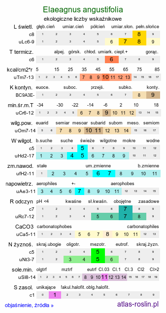 ekologiczne liczby wskaźnikowe Elaeagnus angustifolia (oliwnik wąskolistny)