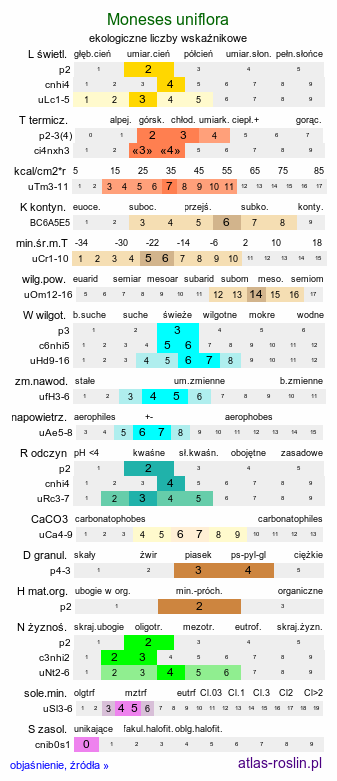 ekologiczne liczby wskaźnikowe Moneses uniflora (gruszycznik jednokwiatowy)