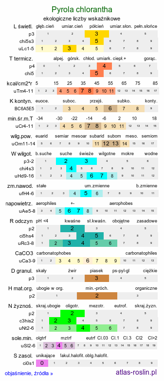 ekologiczne liczby wskaźnikowe Pyrola chlorantha (gruszyczka zielonawa)