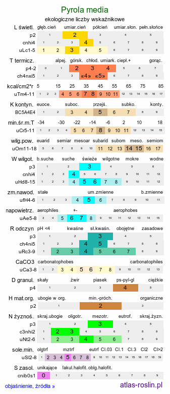 ekologiczne liczby wskaźnikowe Pyrola media (gruszyczka średnia)