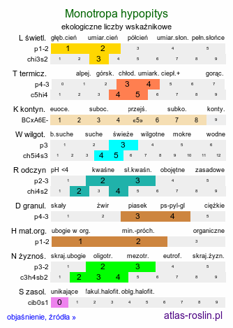 ekologiczne liczby wskaźnikowe Monotropa hypopitys (korzeniówka pospolita)