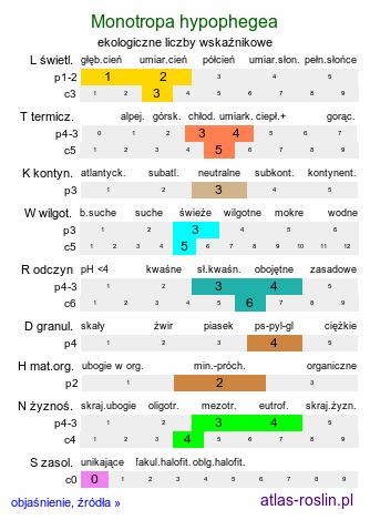 ekologiczne liczby wskaźnikowe Monotropa hypophegea (korzeniówka mniejsza)