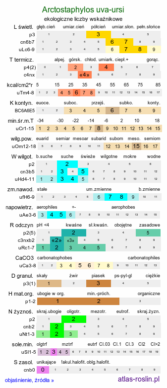 ekologiczne liczby wskaźnikowe Arctostaphylos uva-ursi (mącznica lekarska)