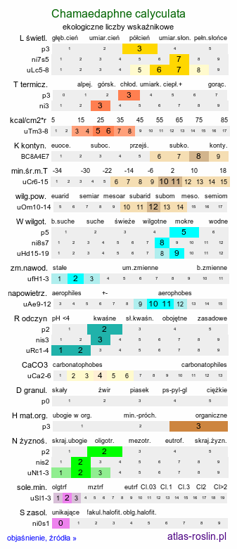 ekologiczne liczby wskaźnikowe Chamaedaphne calyculata (chamedafne północna)