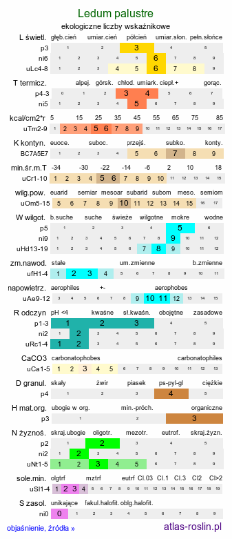 ekologiczne liczby wskaźnikowe Ledum palustre (bagno zwyczajne)