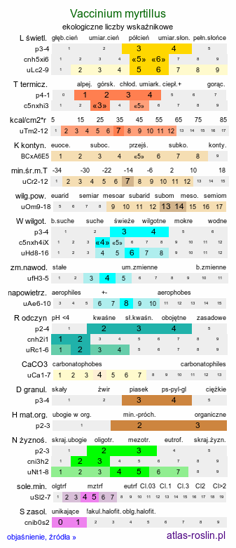 ekologiczne liczby wskaźnikowe Vaccinium myrtillus (borówka czarna)