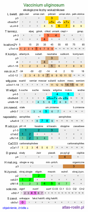 ekologiczne liczby wskaźnikowe Vaccinium uliginosum (borówka bagienna)