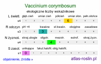 ekologiczne liczby wskaźnikowe Vaccinium corymbosum (borówka wysoka)