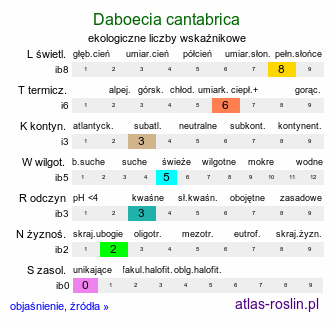 ekologiczne liczby wskaźnikowe Daboecia cantabrica (dabecja kantabryjska)