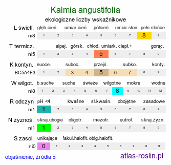 ekologiczne liczby wskaźnikowe Kalmia angustifolia (kalmia wąskolistna)