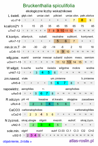 ekologiczne liczby wskaźnikowe Bruckenthalia spiculifolia (brukentalia ostrolistna)