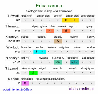 ekologiczne liczby wskaźnikowe Erica carnea (wrzosiec czerwony)