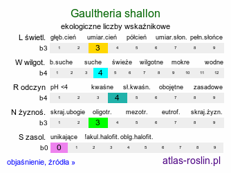 ekologiczne liczby wskaźnikowe Gaultheria shallon (golteria szallon)