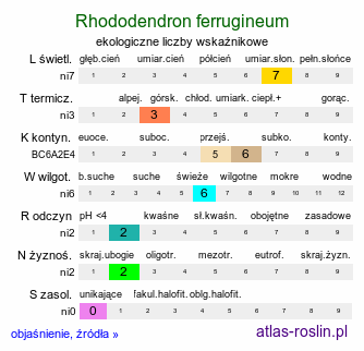 ekologiczne liczby wskaźnikowe Rhododendron ferrugineum (różanecznik alpejski)