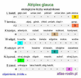 ekologiczne liczby wskaźnikowe Atriplex glauca