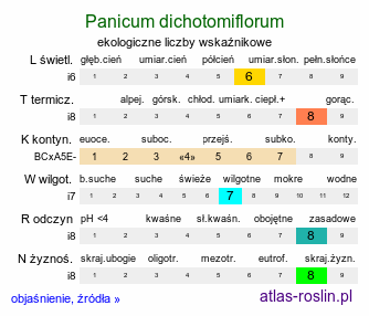 ekologiczne liczby wskaźnikowe Panicum dichotomiflorum (proso jesienne)