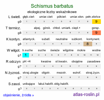 ekologiczne liczby wskaźnikowe Schismus barbatus (kostrzewiec brodaty)