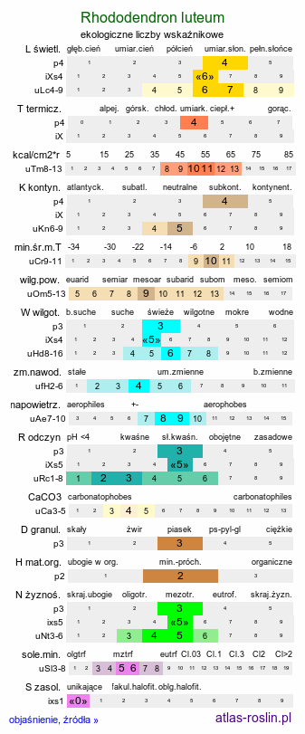ekologiczne liczby wskaźnikowe Rhododendron luteum (różanecznik żółty)