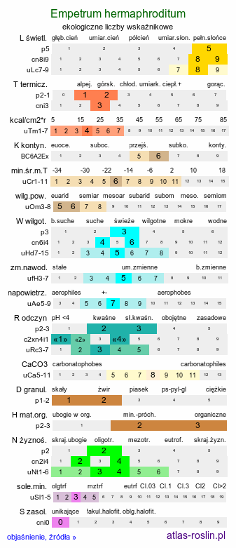 ekologiczne liczby wskaźnikowe Empetrum hermaphroditum (bażyna obupłciowa)