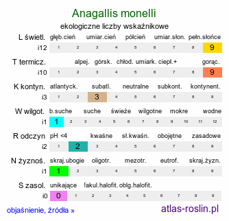 ekologiczne liczby wskaźnikowe Anagallis monelli (anagalis)