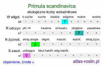 ekologiczne liczby wskaźnikowe Primula scandinavica (pierwiosnek skandynawski)