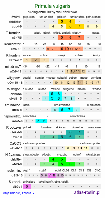 ekologiczne liczby wskaźnikowe Primula vulgaris (pierwiosnek bezłodygowy)