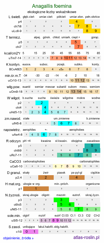 ekologiczne liczby wskaźnikowe Anagallis foemina (kurzyślad błękitny)