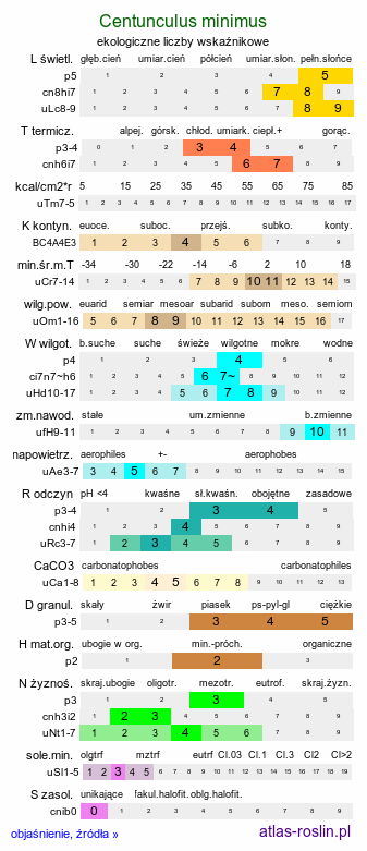 ekologiczne liczby wskaźnikowe Centunculus minimus (niedośpiałek maleńki)