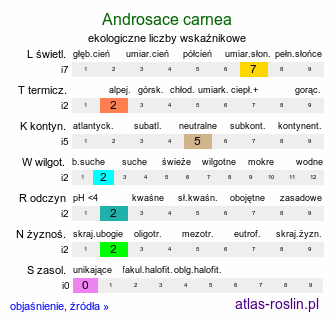 ekologiczne liczby wskaźnikowe Androsace carnea (naradka krwista)