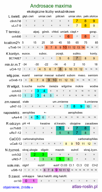 ekologiczne liczby wskaźnikowe Androsace maxima (naradka kielichowa)