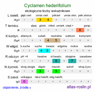 ekologiczne liczby wskaźnikowe Cyclamen hederifolium (cyklamen bluszczolistny)