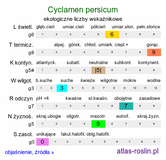 ekologiczne liczby wskaźnikowe Cyclamen persicum (cyklamen perski)