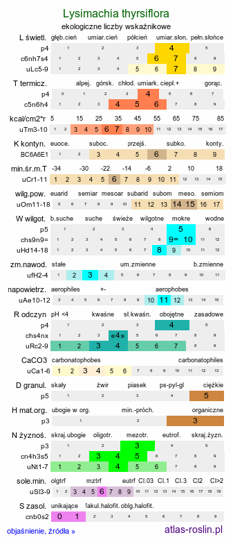 ekologiczne liczby wskaźnikowe Lysimachia thyrsiflora (tojeść bukietowa)