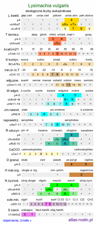 ekologiczne liczby wskaźnikowe Lysimachia vulgaris (tojeść pospolita)
