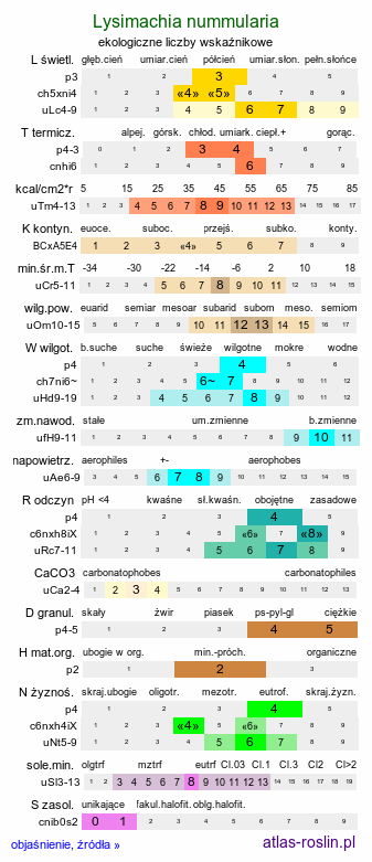 ekologiczne liczby wskaźnikowe Lysimachia nummularia (tojeść rozesłana)