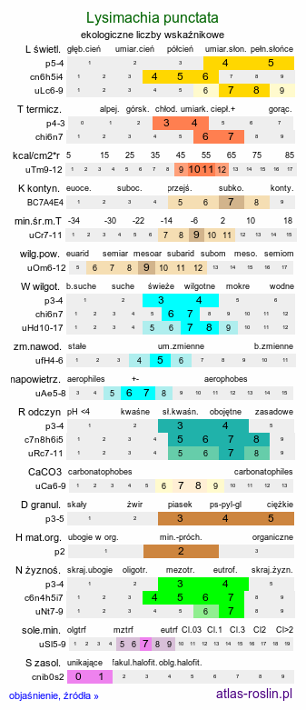 ekologiczne liczby wskaźnikowe Lysimachia punctata (tojeść kropkowana)